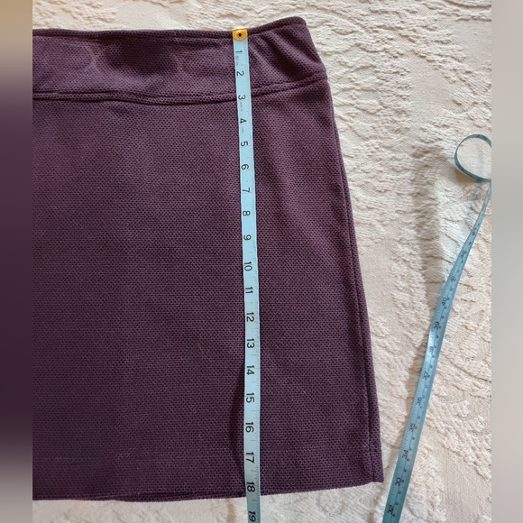 Athletic, Fleece-lined skirt, Size Medium misses - Picture 2 of 7
